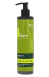 Żel pod Prysznic Mango & Aloes
